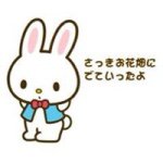 10919702_341716329365233_764540807_a