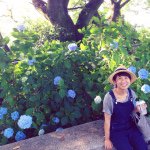 11380770_366534423543092_1099831182_a