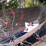 12071248_909722315774141_253785924_a