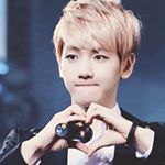 12362564_947229658702631_1752046580_a