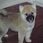 Image1537_normal