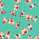 12237295_1480292992279636_1420373092_a