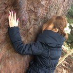 11236260_792983877466131_559792965_a