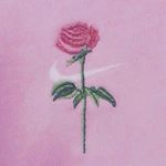 10623892_747232632074752_1958775719_a