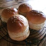 11243069_868847689870089_1172477625_a