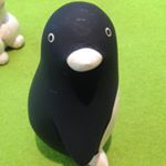 11355856_115858785436613_244899630_a