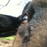 10731905_1688658224700805_158936001_a