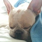 10732025_1468807706772273_984933732_a