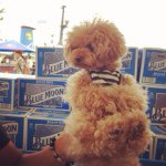 10570101_1635834826703509_456457424_a