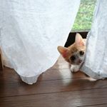 12299005_938557682897105_1538871326_a