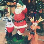 10683999_1542149716109501_1010574313_a