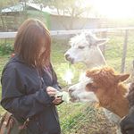 10950338_1626099784315828_1474778382_a