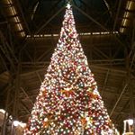 12346114_147018125661866_462254480_a