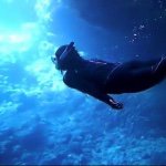 11382916_1069918899687010_1260922620_a