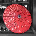 11363685_860581727354109_1335297126_a