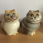 12393884_797862626991562_591347157_a