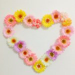 11094463_1585357595054578_1739184551_a