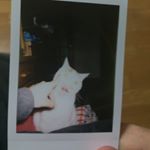 12107414_738609912907584_1380018975_a