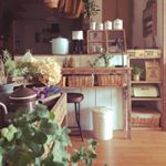 12070987_884573584930453_954458774_a