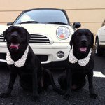 11856760_948495508526279_1277867456_a