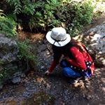 12105189_552277908254937_544306140_a