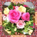 11326389_569370519868372_518270304_a