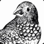 10919668_1490893054535272_1250599764_a