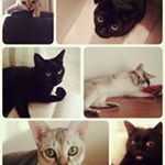 12135305_903904136369552_1994428622_a