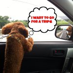 11351638_1217318818294356_1923183236_a