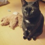 10467854_602130773234784_726404840_a