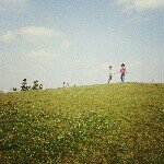 11313742_1040717522605467_1288267839_a