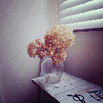 11875543_1618108958440432_87226931_a