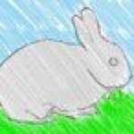 11356951_1050907338282589_1102140176_a