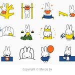 12298902_1733977060164575_445581113_a