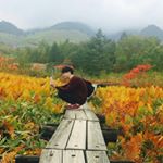 12353408_1522870364677542_1720042462_a