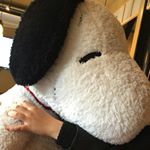 12144108_1714862235413067_1473659834_a