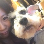 914509_787307911345602_1227245739_a