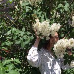 11385628_780186398762683_2070445773_a