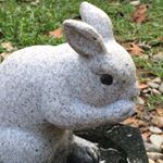 10724648_557918034374551_1872822020_a