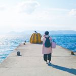 12543309_217607075239254_1261069859_a