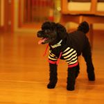 11363770_115307305486750_1716482002_a