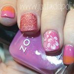 11950538_486458091532314_636340699_a