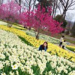 10684219_822986234399139_2050856799_a