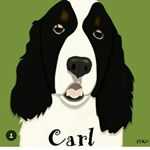 12230867_139917279700561_484909100_a