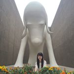 11821163_1497888560534348_768587132_a