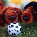 12139635_902150019879394_1410389471_a