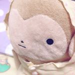 11875538_425433647647437_1865867884_a