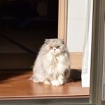 12407584_1655669308033618_1593072452_a