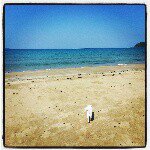 11313479_1003592439674978_418559743_a