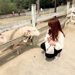 12081173_1134783499882421_1963616743_a